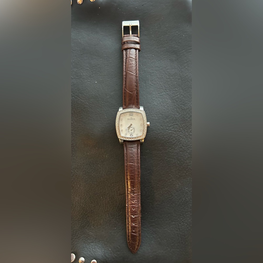 Skagen 555SSLD4 Mother of Pearl Dial Ladies Watch